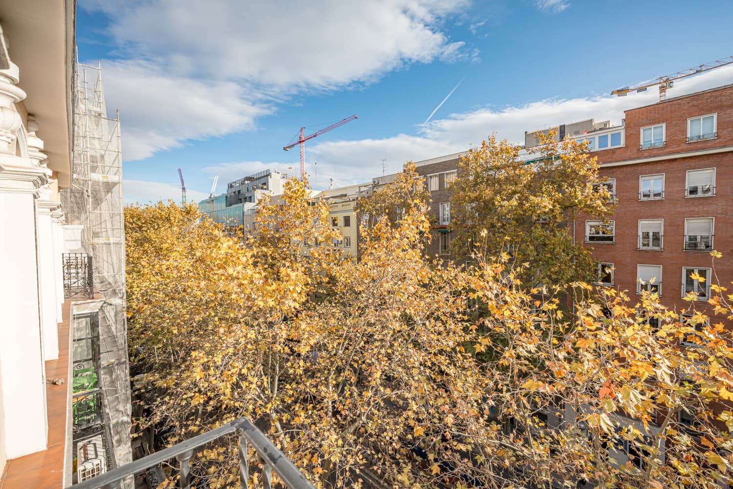 Image VirtualHome/xfilxvjjeqla07gzqvgv